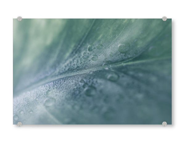 Acrylglasbild "Waterdrops" artboxONE - Floral