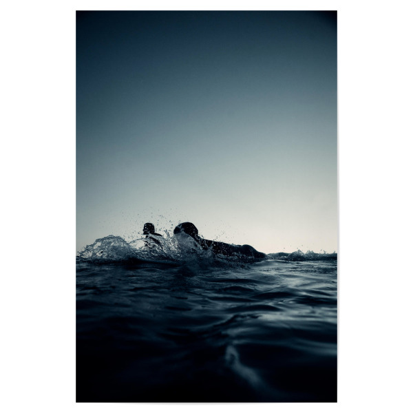 Poster "Blue hour surfing in the sea" artboxONE - Menschen,Sport - Surfer,Blue hour,Blue,Blue sky,Paddel,Surfing,Wasser,Water