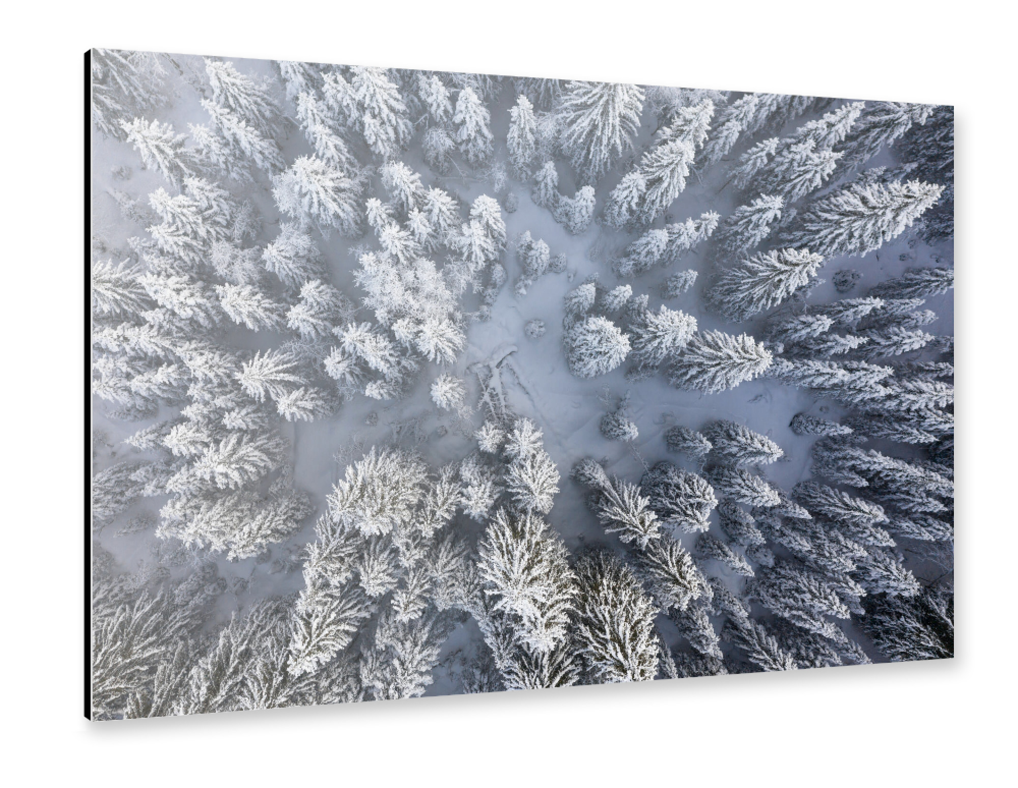 Alu-Dibond "Snow covered forest looking down" 30x20 cm artboxONE