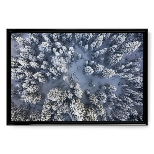 Snow covered forest looking down