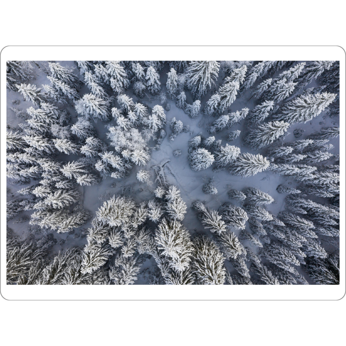 Tischset "Snow covered forest looking down" artboxONE - Natur