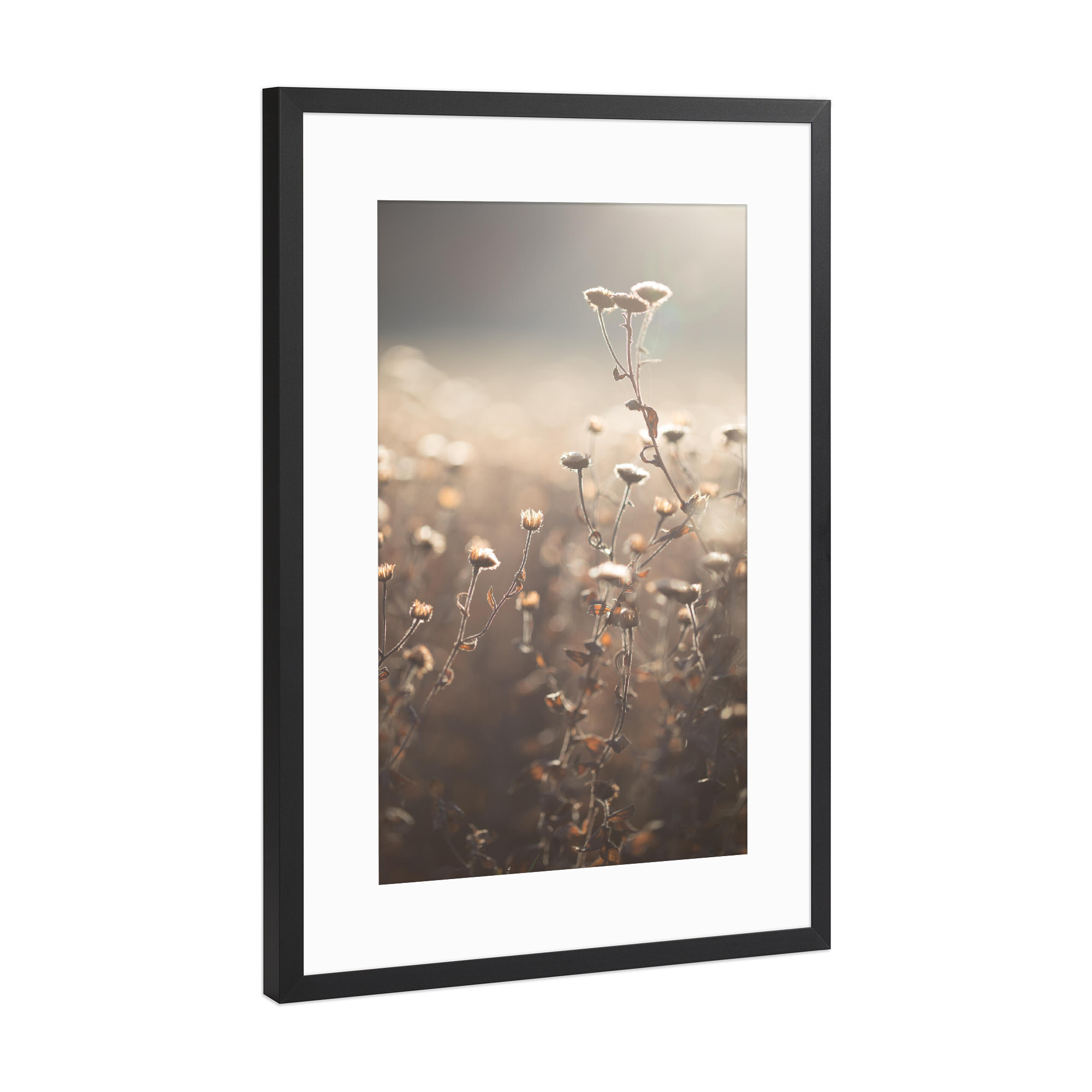 Poster mit Rahmen Schwarz (Metallic) "Spätherbst" artboxONE - Natur,Floral