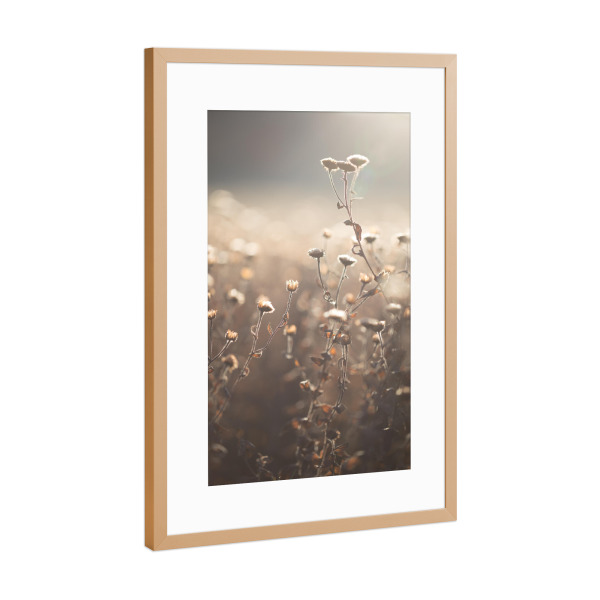 Poster mit Rahmen Kupfer "Spätherbst" artboxONE - Natur,Floral