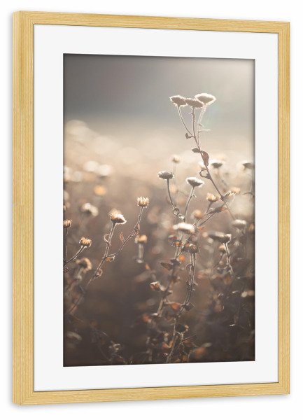 Poster mit Rahmen kiefer "Spätherbst" artboxONE - Natur,Floral