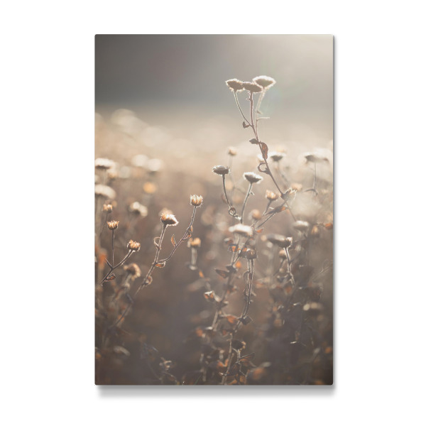 Galerie-Print "Spätherbst" 30x20 cm artboxONE