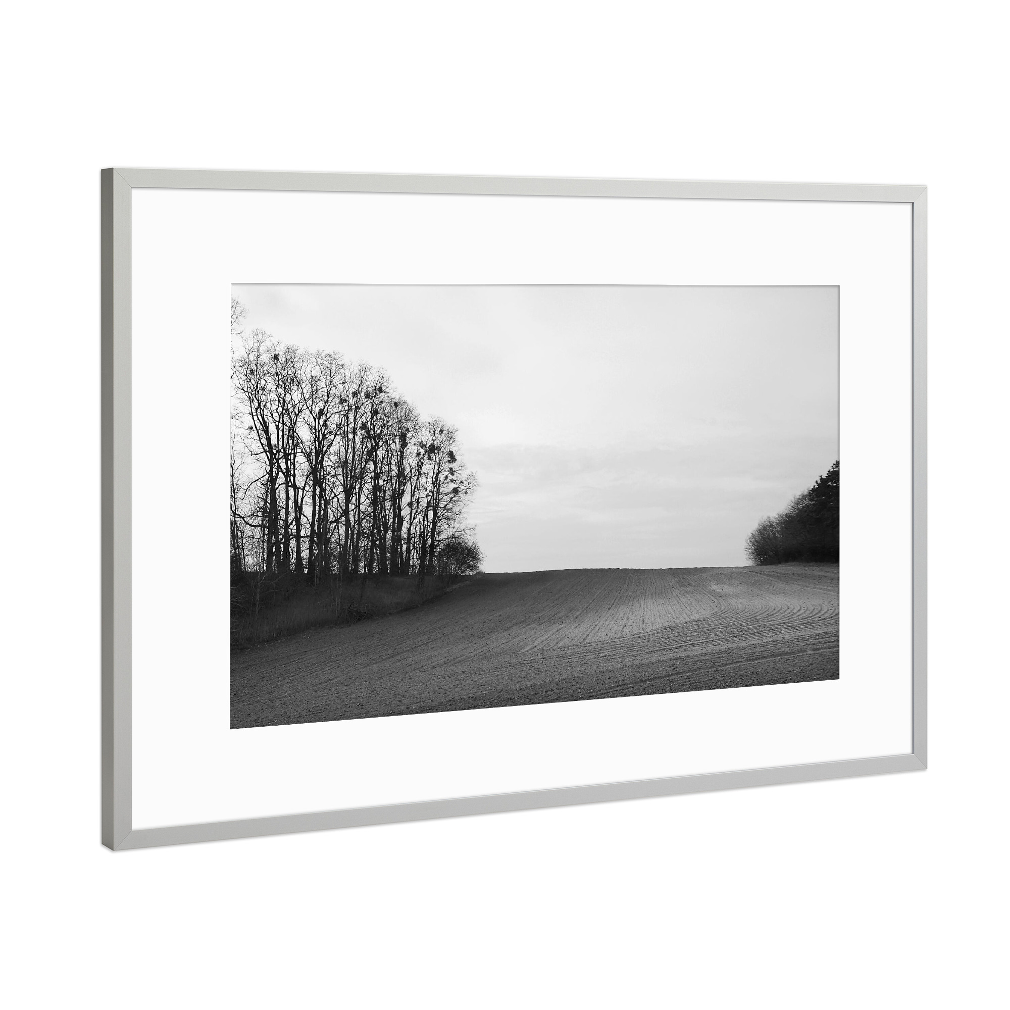 Poster mit Rahmen Silber "Brandenburg" artboxONE - Natur,Schwarzweiß