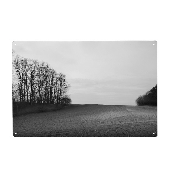 Holzbild "Brandenburg" artboxONE - Natur,Schwarzweiß