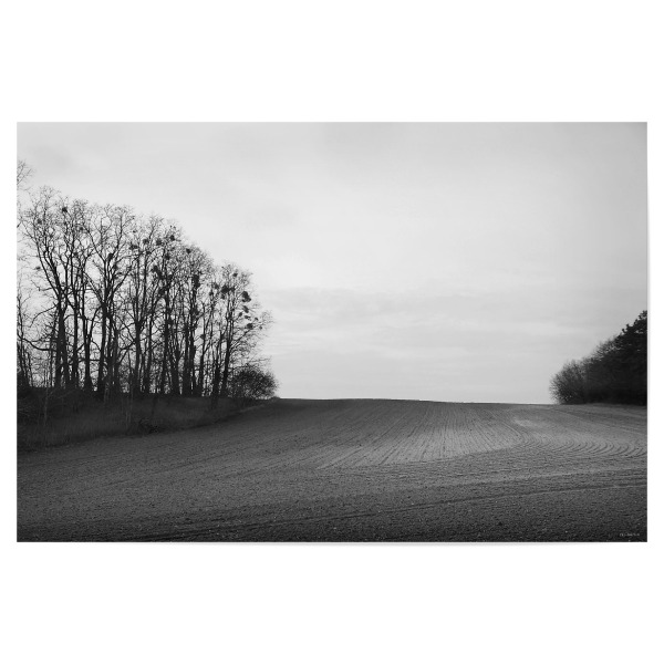Poster 30x20 cm "Brandenburg" artboxONE - Natur,Schwarzweiß