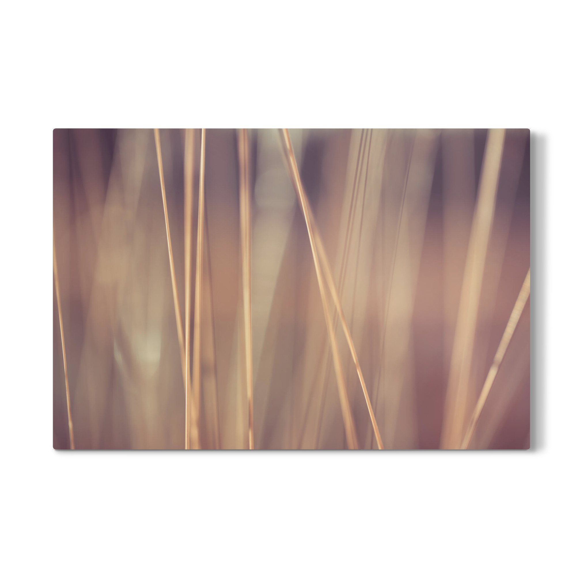 Galerie-Print "Herbsthalme" 75x50 cm artboxONE