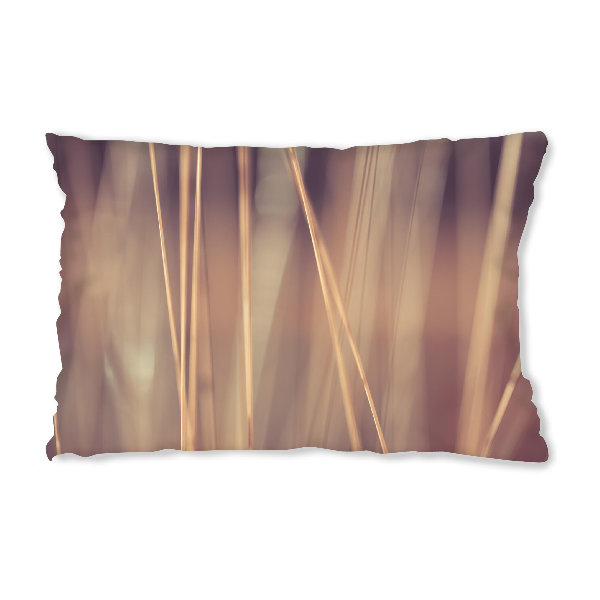Design-Kissen "Herbsthalme" artboxONE - Natur,Floral