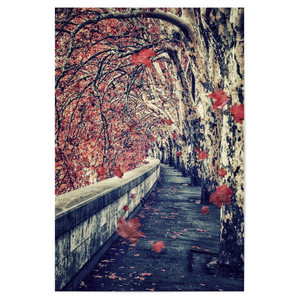 Poster 30x20 cm "Autumn in Rome" artboxONE - Städte,Natur,Reise,Reise / Länder,Städte / Rom
