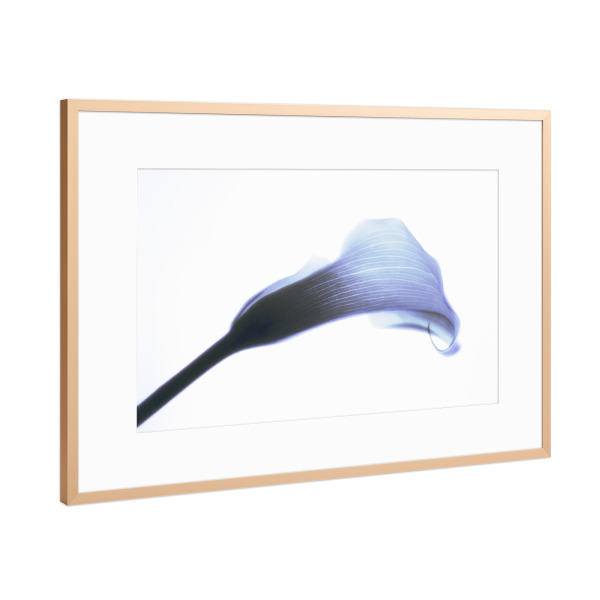 Poster mit Rahmen Kupfer "Just Be Blue" artboxONE - Natur,Floral