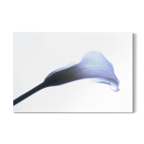Galerie-Print "Just Be Blue" 30x20 cm artboxONE