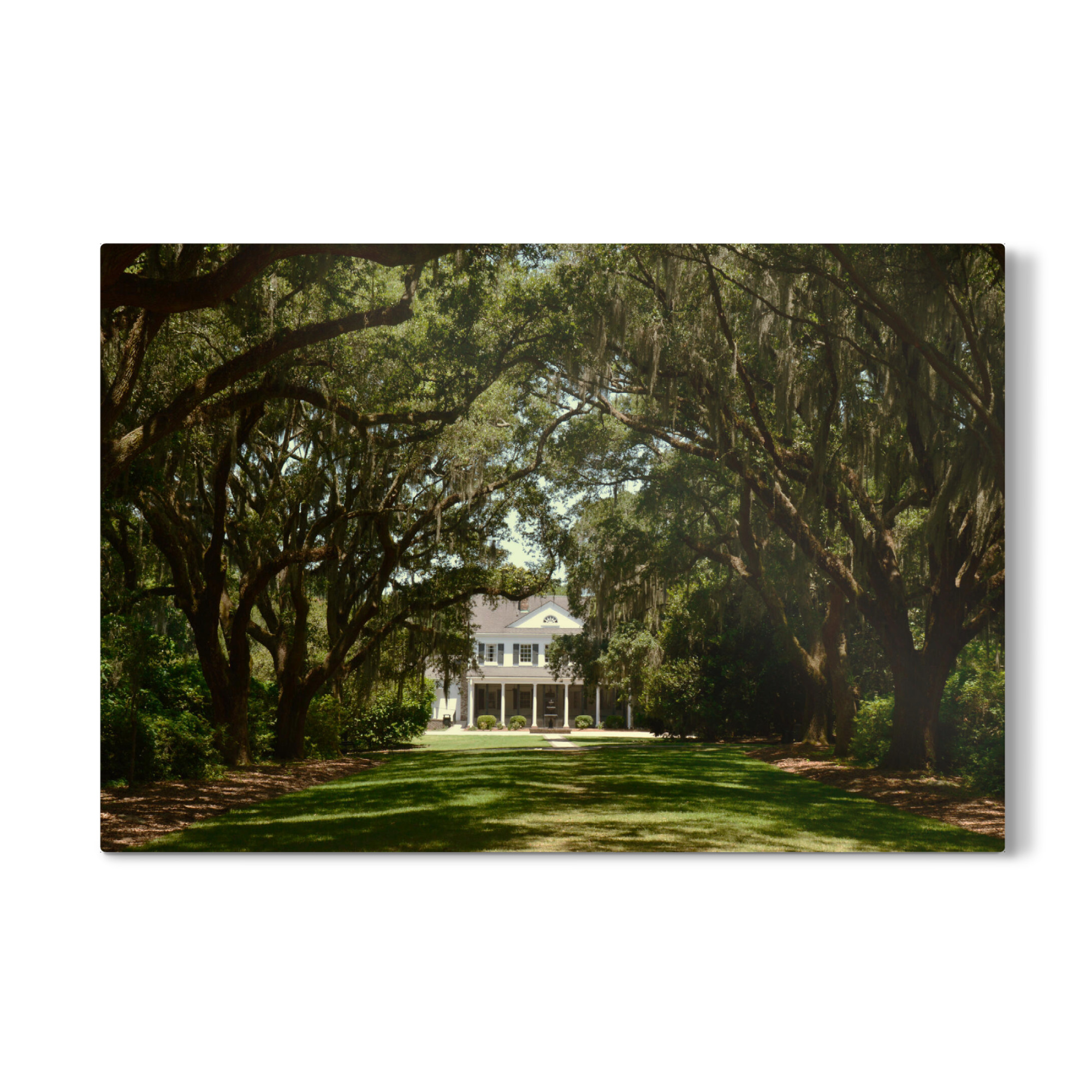 Galerie-Print "Southern Oak Alley" 75x50 cm artboxONE