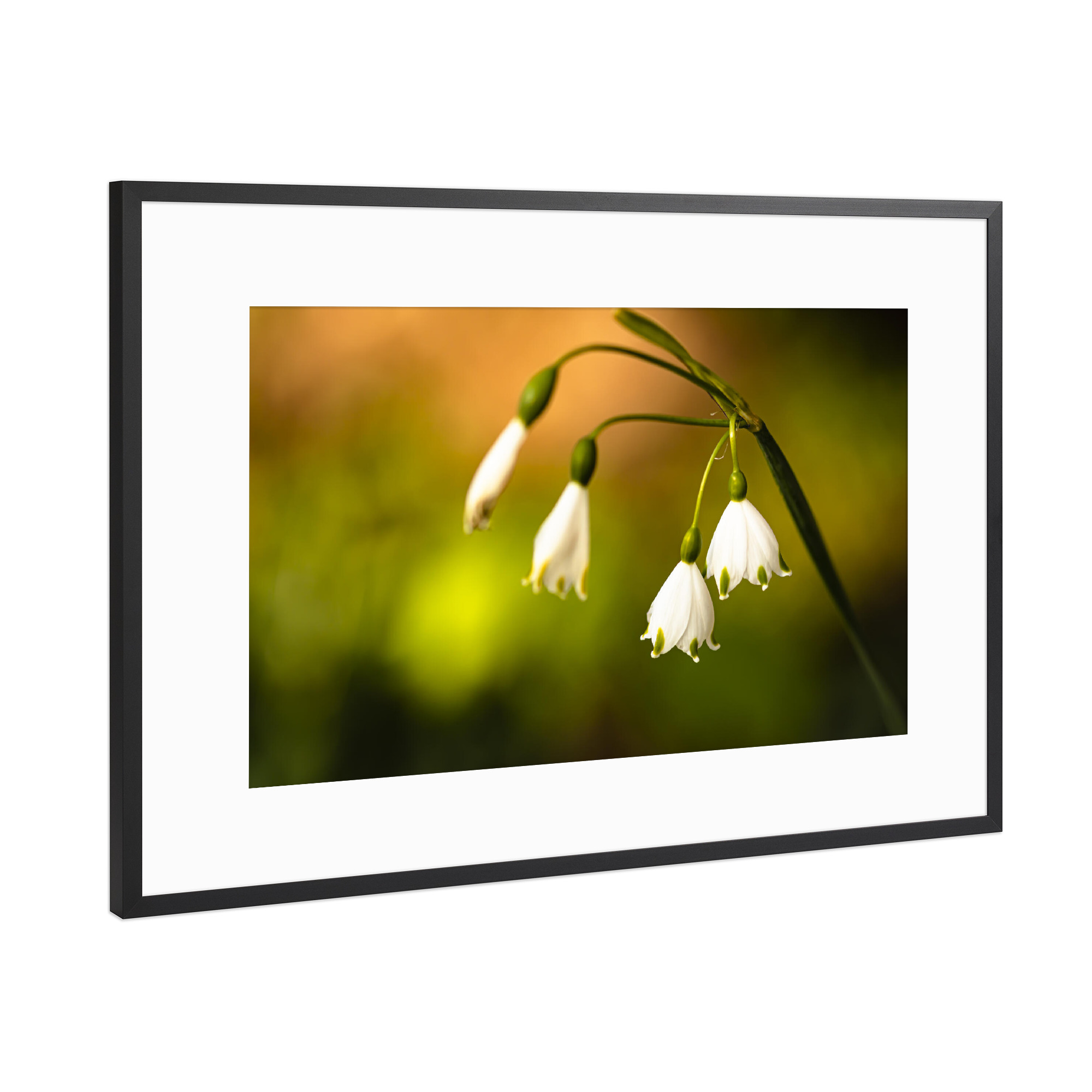 Poster mit Rahmen Schwarz (Metallic) "Colorplay In Flower Bed" artboxONE - Natur,Floral