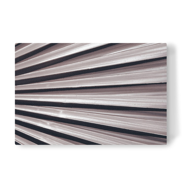 Leinwandbild "Schwarzweißer Palmenfächer" artboxONE - Natur,Floral,Abstrakt,Schwarzweiß,Geometrie