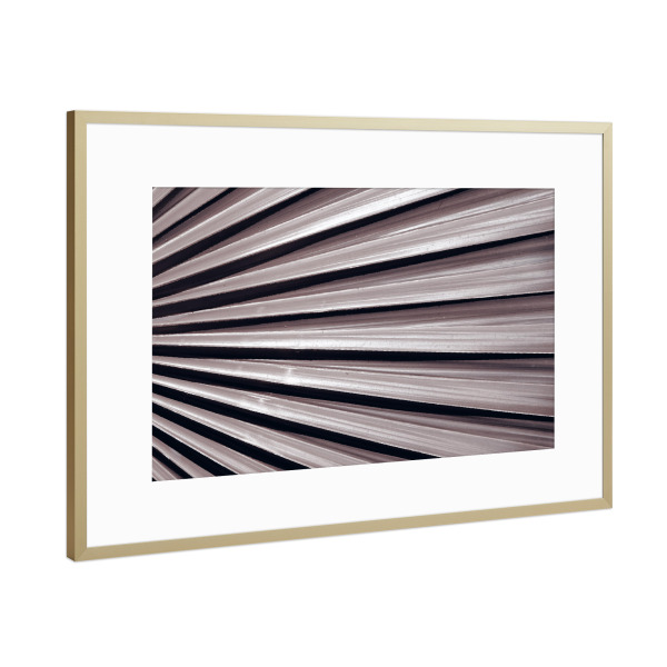 Poster mit Rahmen Gold "Schwarzweißer Palmenfächer" artboxONE - Natur,Floral,Abstrakt,Schwarzweiß,Geometrie