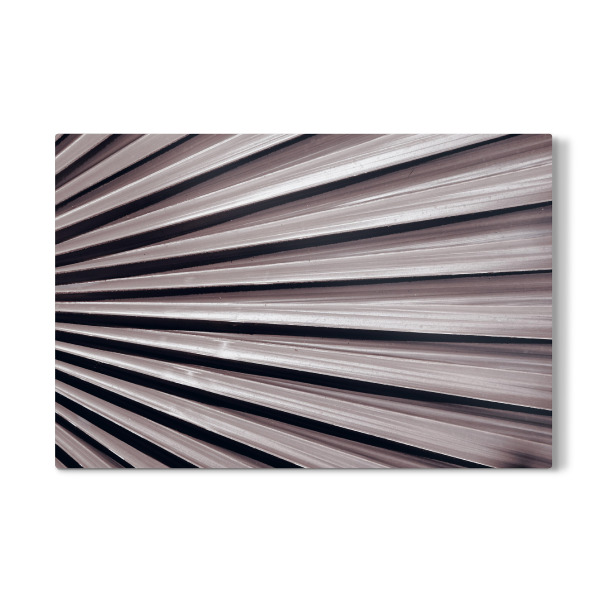 Galerie-Print "Schwarzweißer Palmenfächer" 30x20 cm artboxONE