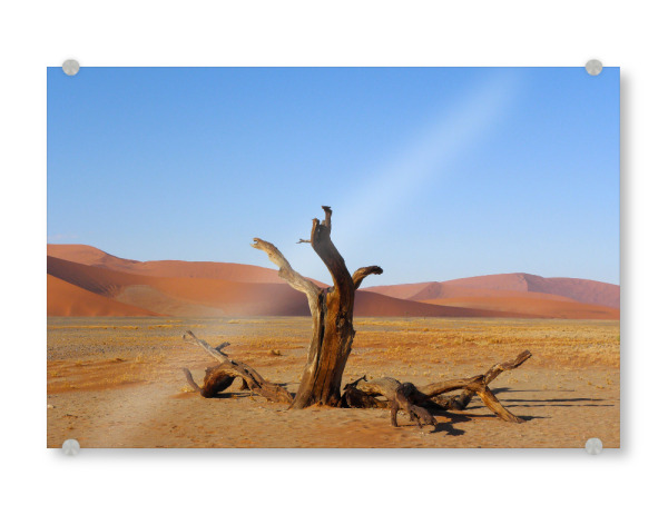 Acrylglasbild "Sossousvlei, Namiba" artboxONE - Natur,Reise,Reise / Afrika