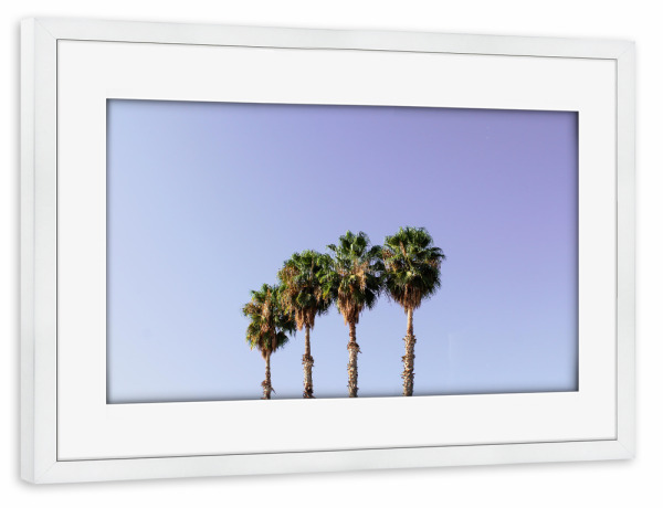 Poster mit Rahmen weiß "Vier Palmen blau/lila" artboxONE - Natur,Reise,Reise / Länder