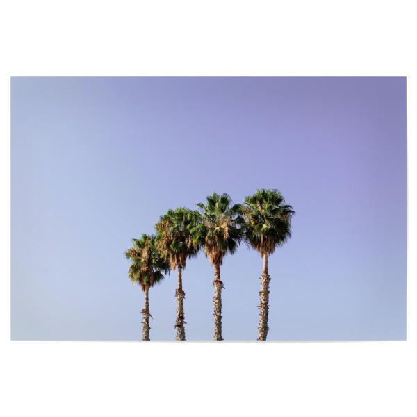 Poster 30x20 cm "Vier Palmen blau/lila" artboxONE - Natur,Reise,Reise / Länder