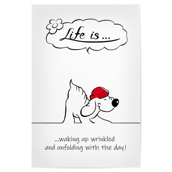 Poster "Life is... waking up wrinkled" artboxONE - Typografie,Tiere,Comic,Lustig
