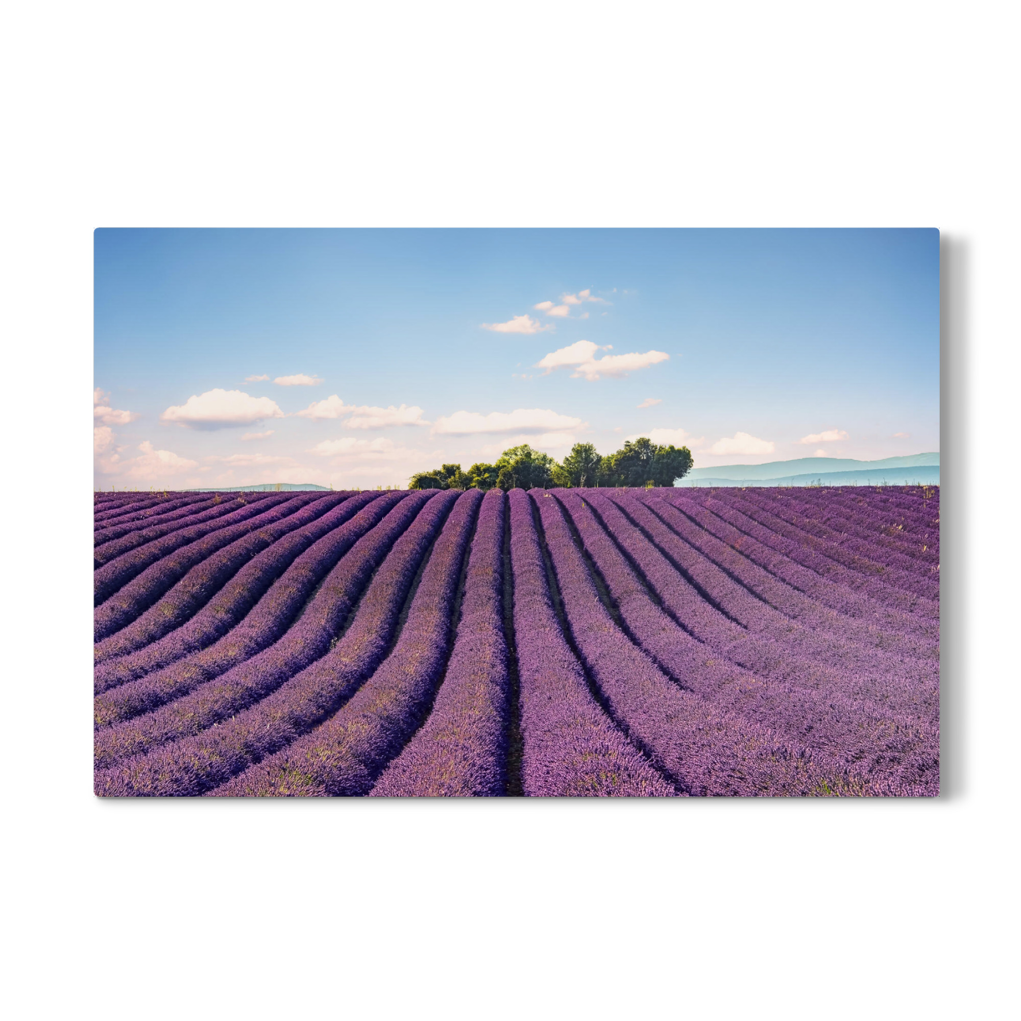 Galerie-Print "The Valensole plateau" 30x20 cm artboxONE