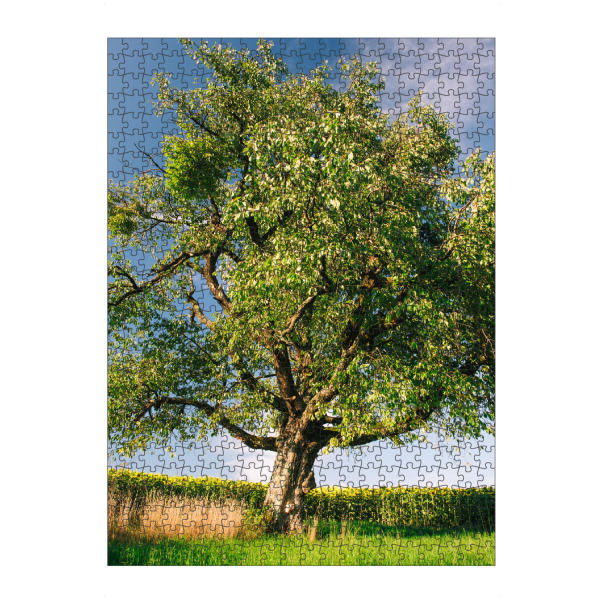 artboxONE Puzzle "Tree on meadow with sunflowers" artboxONE - Natur