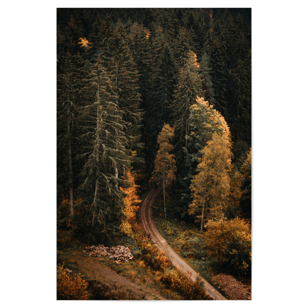 Poster "Ab in den Schwarzwald" artboxONE - Natur