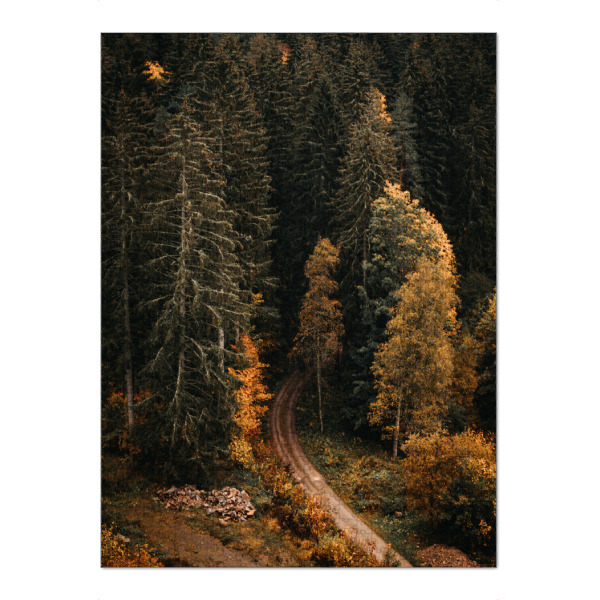 Puzzle Ravensburger "Ab in den Schwarzwald" artboxONE - Natur