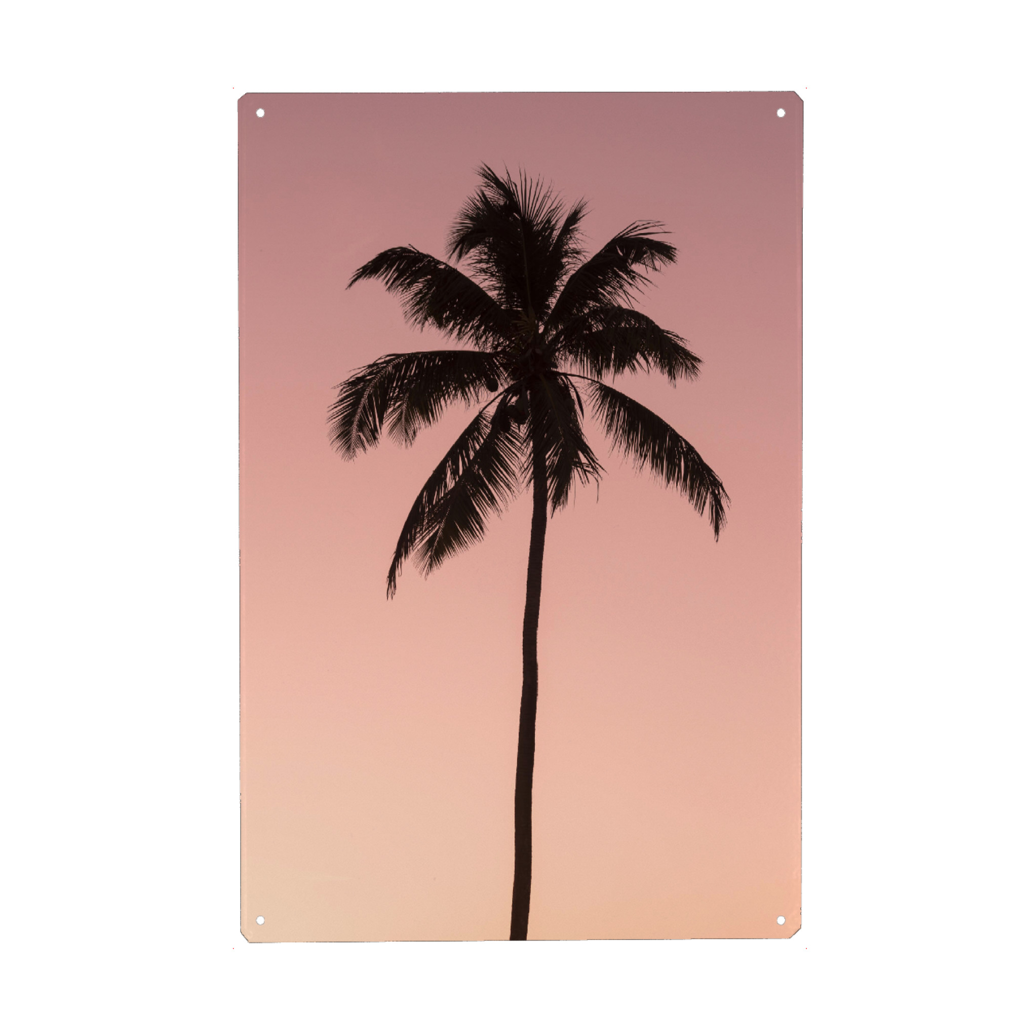 Metall Poster "Palm Tree at Sunset" artboxONE - Natur,Reise - Silhouette,Palm,Sunset,Summer,Nature,Sonnenuntergang,Palmen,Palme,Strand,Beach