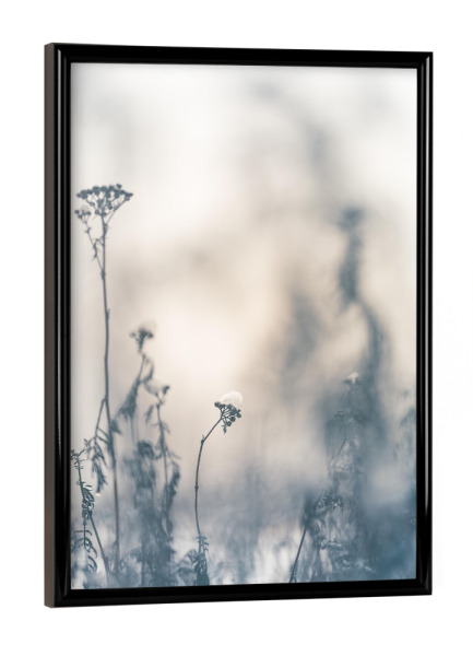 Poster mit schwarzem Rahmen "Wintervegetation" artboxONE - Natur,Floral