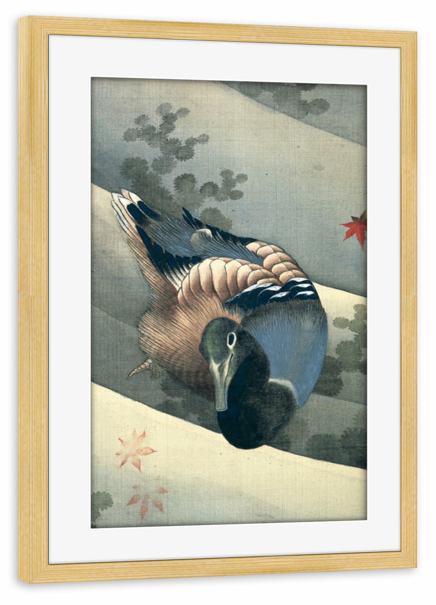 Poster mit Rahmen kiefer "Ente im Wasser schwimmend" artboxONE - Natur,Tiere