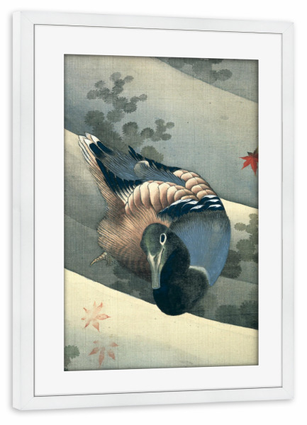 Poster mit Rahmen weiß "Ente im Wasser schwimmend" artboxONE - Natur,Tiere