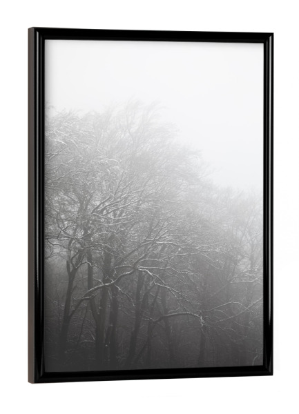 Poster mit schwarzem Rahmen "Schneewald" artboxONE - Natur,Schwarzweiß