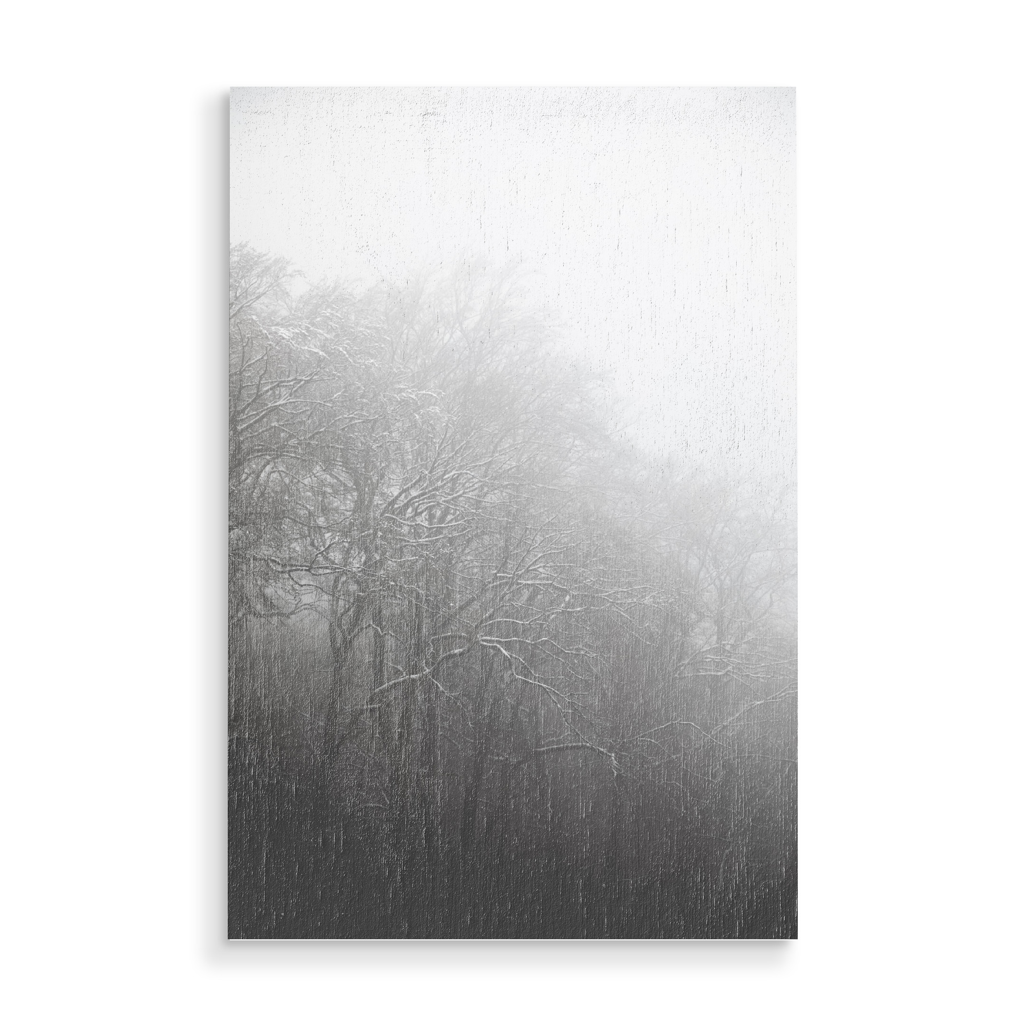 Holzbild "Schneewald" artboxONE - Natur,Schwarzweiß - Schneebedeckt,äste,Schnee,Winter,Kalt,Siebengebirge,Kälte,Nature,Natur,Bäume,Forest,Wald