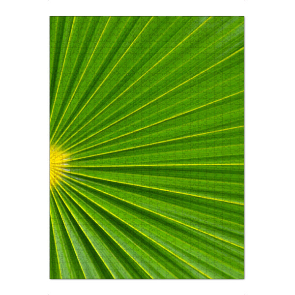 Puzzle Ravensburger "The Green Palm Leaf" artboxONE - Natur,Floral,Reise / Strand und Meer