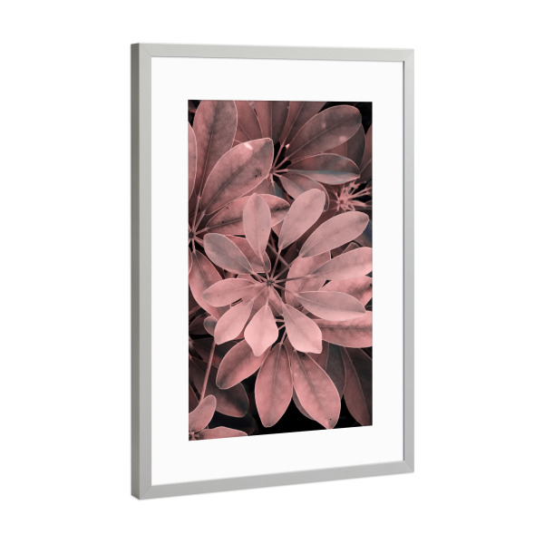 Poster mit Rahmen Silber "Rosy Foliage" artboxONE - Natur,Floral