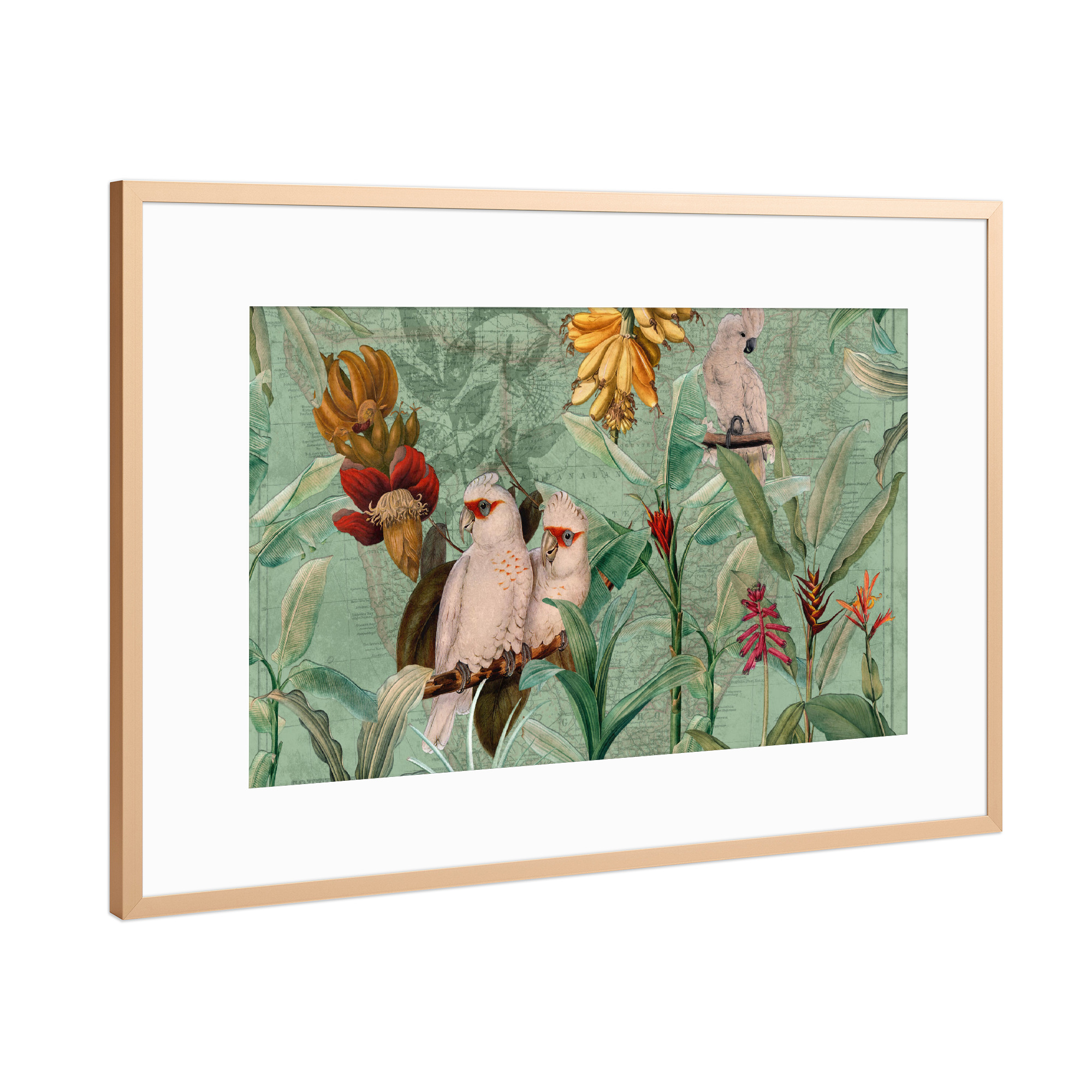 Poster mit Rahmen Kupfer "Antique Parrot Tropical Jungle" artboxONE - Natur,Floral,Tiere
