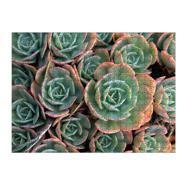 Puzzle Ravensburger "Sukkulenten türkis" artboxONE - Natur