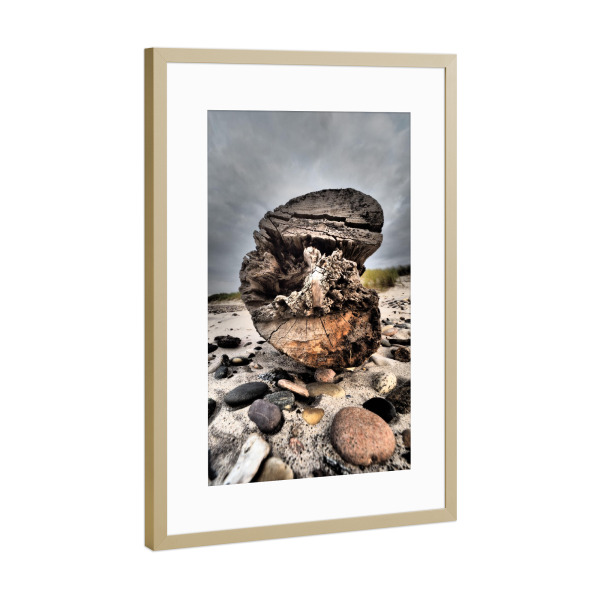 Poster mit Rahmen Gold "Strandgut" artboxONE - Musik,Reise / Strand und Meer