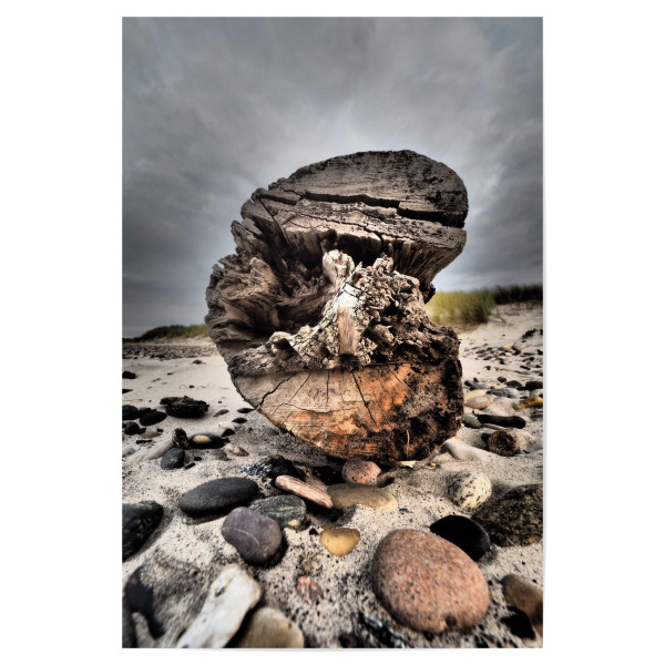 Poster 30x20 cm "Strandgut" artboxONE - Musik,Reise / Strand und Meer