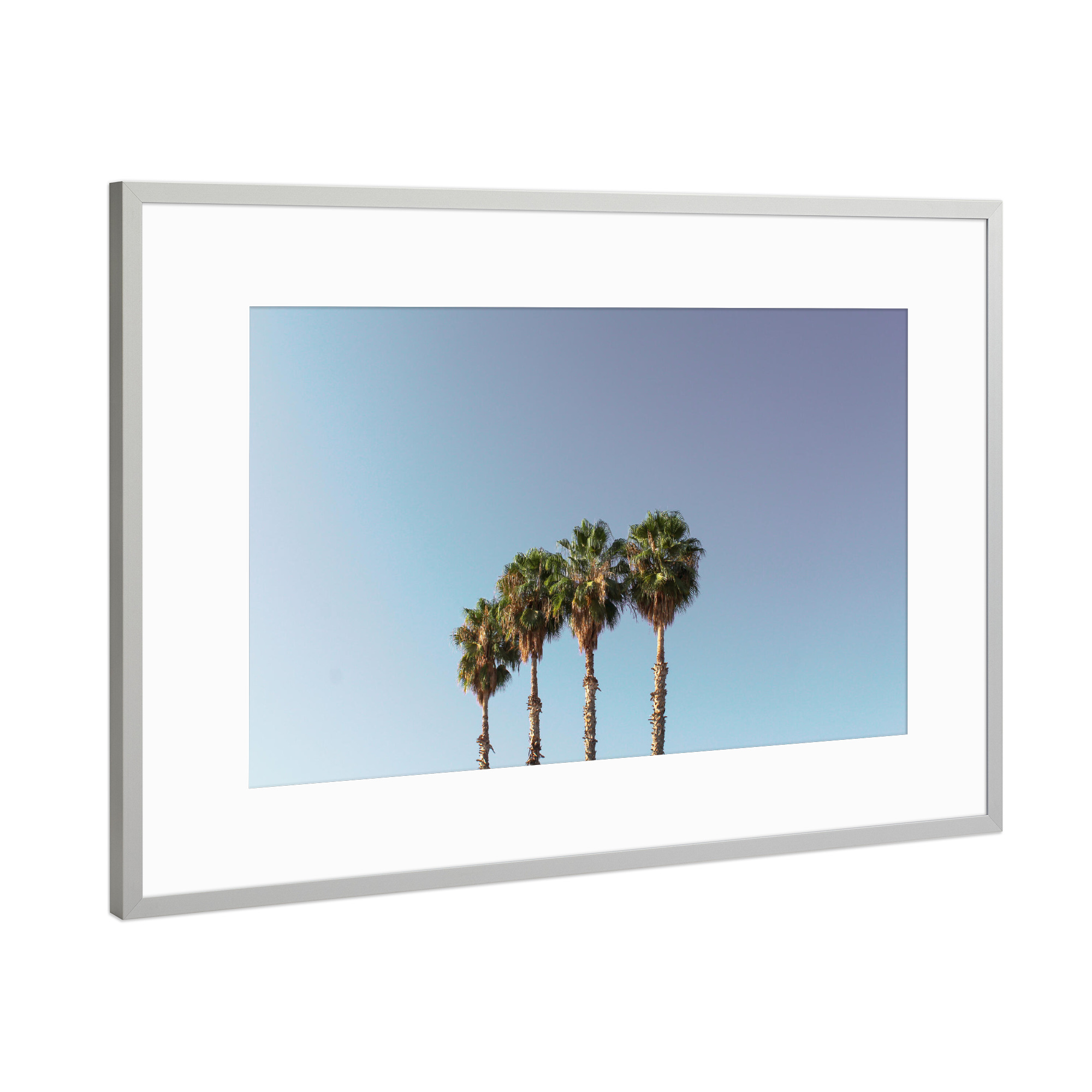 Poster mit Rahmen Silber "Vier Palmen blau/weiß/lila" artboxONE - Natur,Reise,Reise / Strand und Meer,Reise / Länder