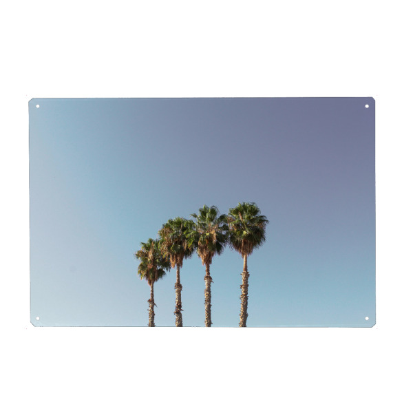 Holzbild "Vier Palmen blau/weiß/lila" artboxONE - Natur,Reise,Reise / Strand und Meer,Reise / Länder