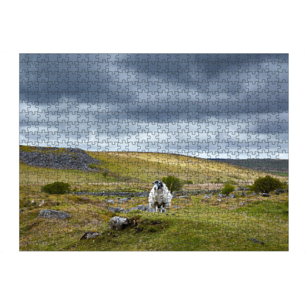 artboxONE Puzzle "Dartmoor" artboxONE - Natur,Reise / Länder