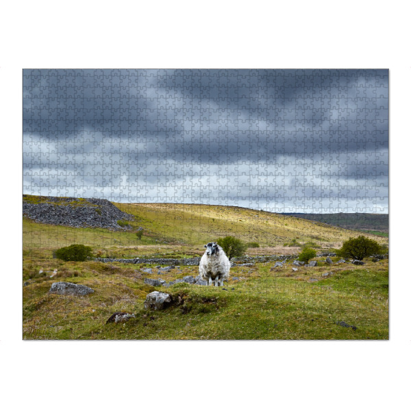 Puzzle Ravensburger "Dartmoor" artboxONE - Natur,Reise / Länder