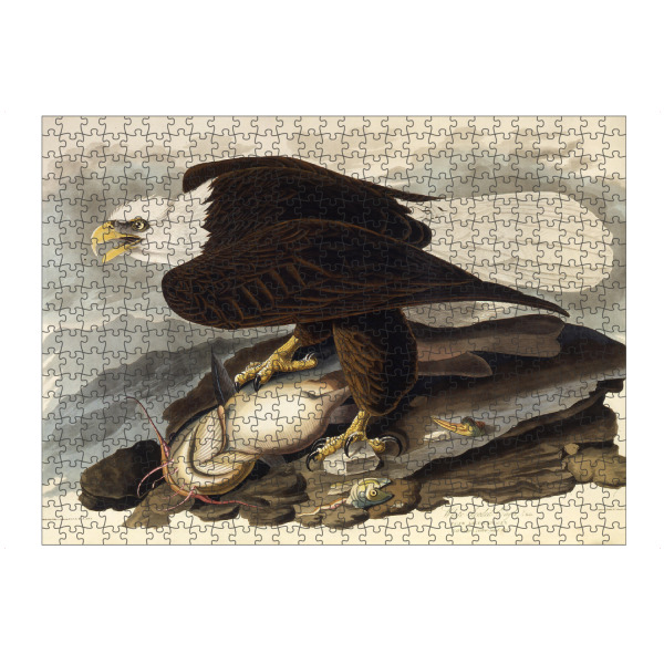 Puzzle Ravensburger "Der Weißkopfseeadler" artboxONE - Natur,Tiere