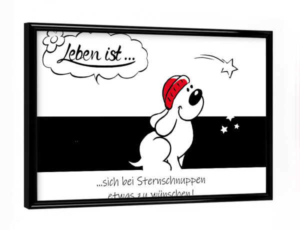 Poster mit schwarzem Rahmen "Leben ist... bei Sternschnuppen" artboxONE - Typografie,Tiere,Comic,Lustig
