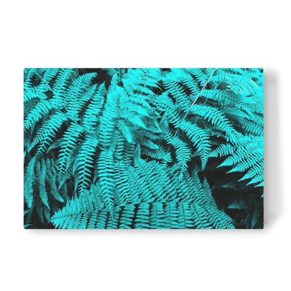 Leinwandbild "Cyan Fern" artboxONE - Natur,Floral - Turquoise,Türkis,Farn,Wald,Forest,Flora,Floral,Natur,Nature,Plant,Pflanze