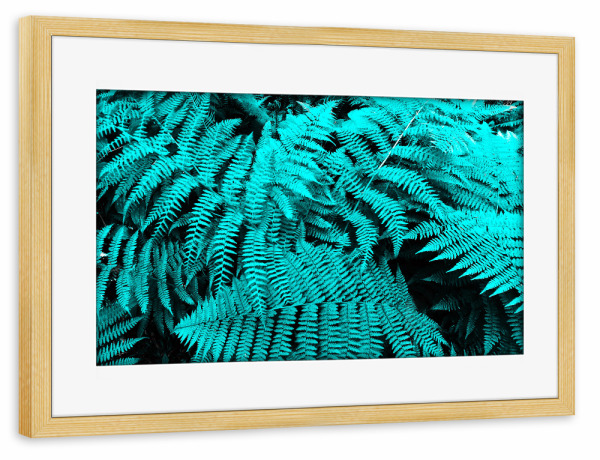 Poster mit Rahmen kiefer "Cyan Fern" artboxONE - Natur,Floral - Turquoise,Türkis,Farn,Wald,Forest,Flora,Floral,Natur,Nature,Plant,Pflanze